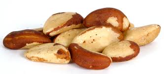 Brazil Nut