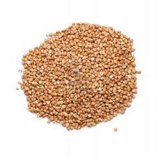 Buckwheat