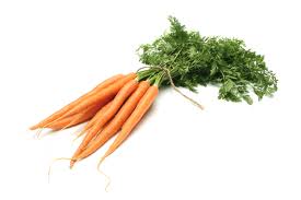 Carrot