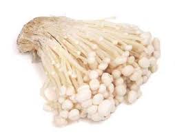 Enoki