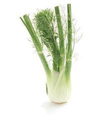 Fennel