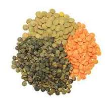 Lentils