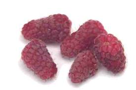 Loganberry