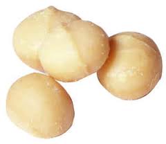 Macadamia  Nut