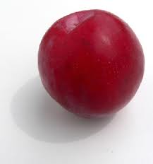 Plum