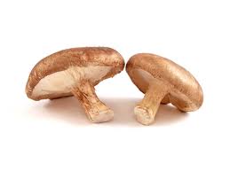 Shitake