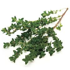 Thyme