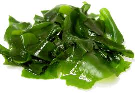 Wakame