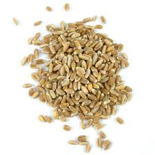 Wheat Berries