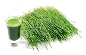 Wheatgrass Juice