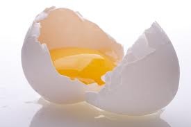 egg