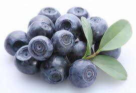 bilberry