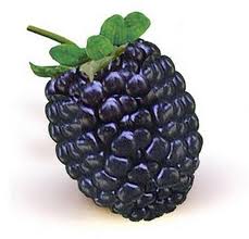 blackberry