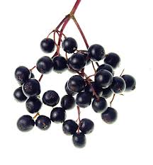 elderberries